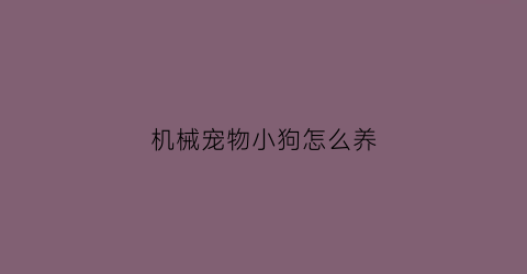 机械宠物小狗怎么养