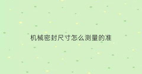 机械密封尺寸怎么测量的准(机械密封的尺寸型号是什么意思)