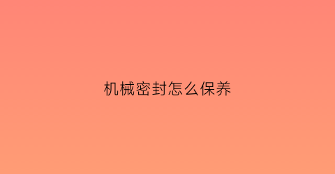 机械密封怎么保养