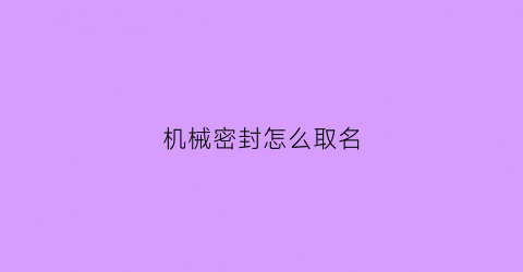 机械密封怎么取名