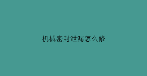 机械密封泄漏怎么修