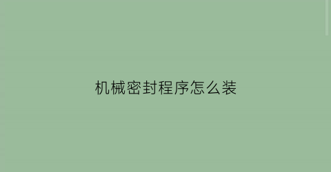 机械密封程序怎么装