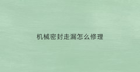 机械密封走漏怎么修理