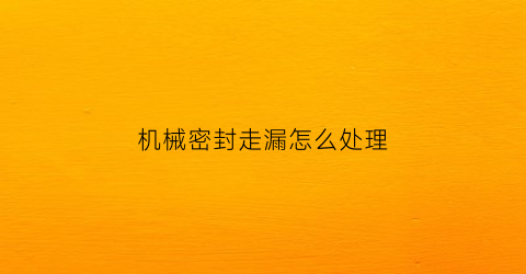 机械密封走漏怎么处理