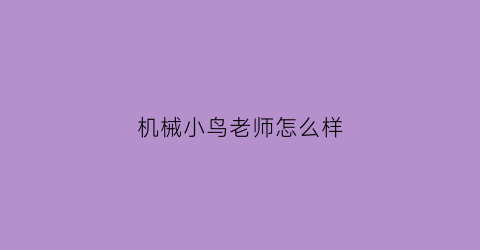 机械小鸟老师怎么样