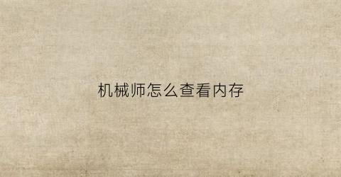 “机械师怎么查看内存(机械师笔记本怎么调内存频率)