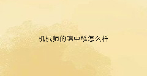 “机械师的锦中鳞怎么样