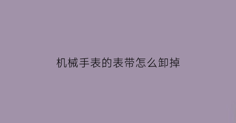 机械手表的表带怎么卸掉(机械表带怎么装回去)