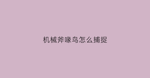 机械斧喙鸟怎么捕捉(机械鸟是什么)