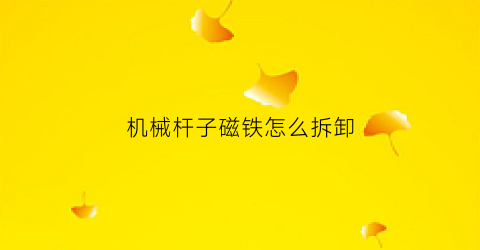 机械杆子磁铁怎么拆卸(机械杆子怎么玩)