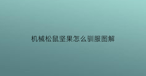 机械松鼠坚果怎么驯服图解