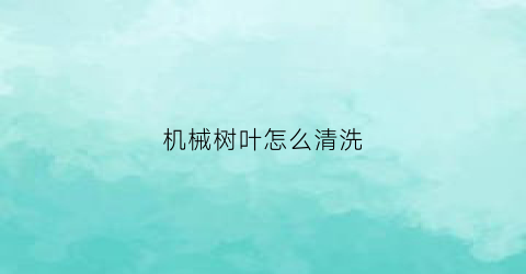 机械树叶怎么清洗(树叶清扫机多少钱一台)