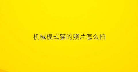 “机械模式猫的照片怎么拍(机械猫)