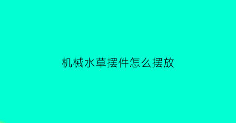 “机械水草摆件怎么摆放(水草布置)