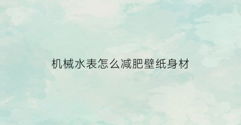 机械水表怎么减肥壁纸身材