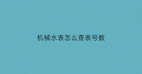 机械水表怎么查表号数