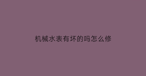 “机械水表有坏的吗怎么修(机械式水表怎么看)