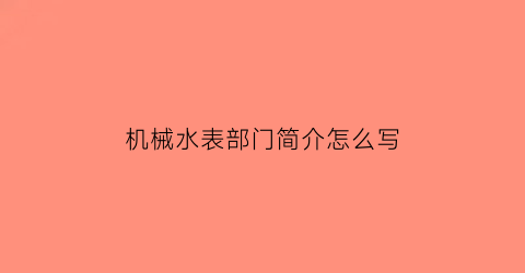 机械水表部门简介怎么写