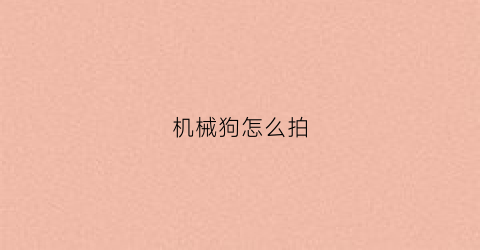 机械狗怎么拍