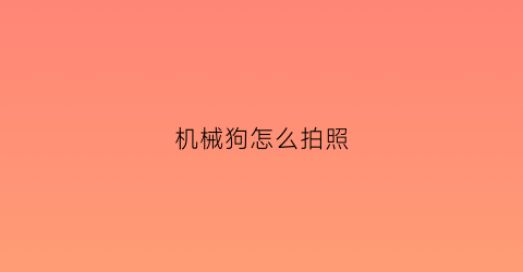 机械狗怎么拍照