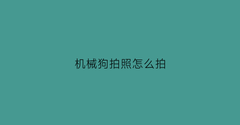 机械狗拍照怎么拍