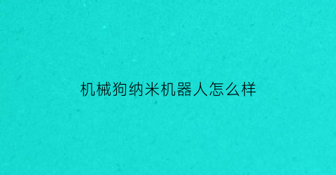 机械狗纳米机器人怎么样