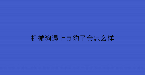 机械狗遇上真豹子会怎么样(机械狗和真狗)