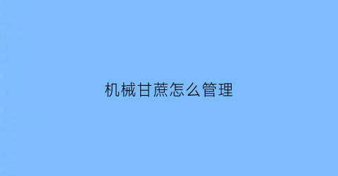 机械甘蔗怎么管理