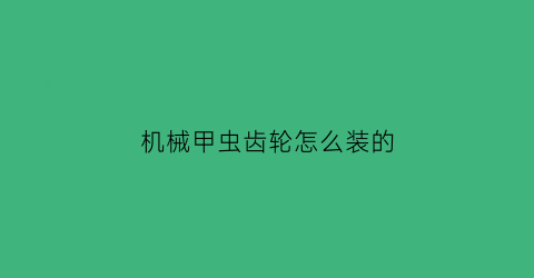 “机械甲虫齿轮怎么装的(防水剂渗透高度比数据多少)