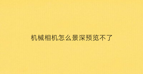 “机械相机怎么景深预览不了(相机景深效果怎么设置)