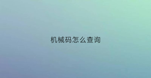 机械码怎么查询