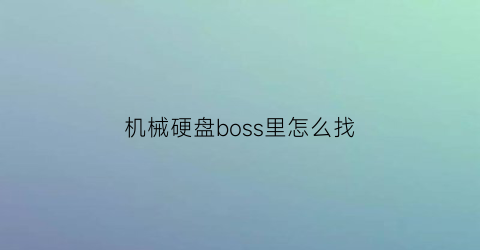 机械硬盘boss里怎么找