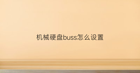 机械硬盘buss怎么设置