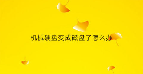 机械硬盘变成磁盘了怎么办