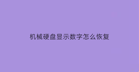 机械硬盘显示数字怎么恢复