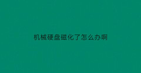 机械硬盘磁化了怎么办啊