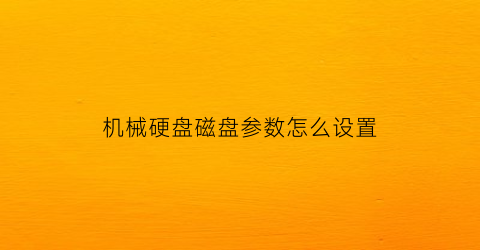 机械硬盘磁盘参数怎么设置