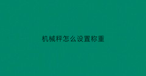 “机械秤怎么设置称重(机械秤怎么设置称重数字)