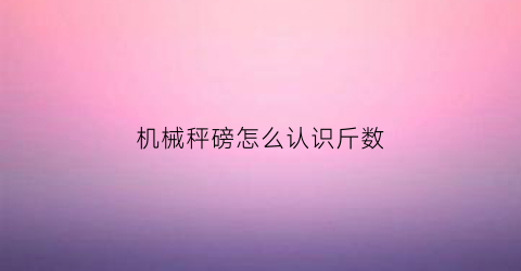 “机械秤磅怎么认识斤数(机械秤怎么读数)