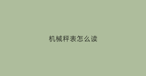 机械秤表怎么读