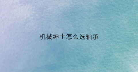 机械绅士怎么选轴承(content机械轴)