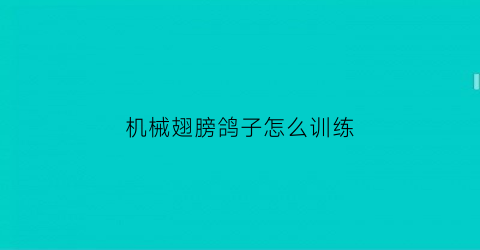 机械翅膀鸽子怎么训练(机械翅膀鸽子怎么训练视频)