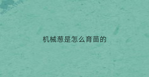 机械葱是怎么育苗的