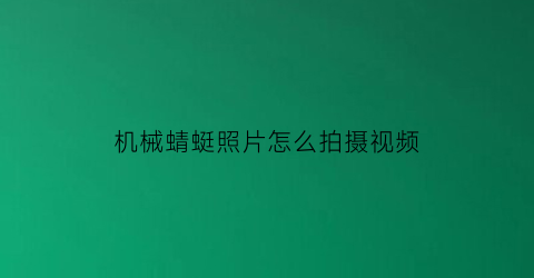 机械蜻蜓照片怎么拍摄视频(机械蜻蜓照片怎么拍摄视频教学)