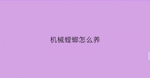 机械螳螂怎么养(机械螳螂的制作过程)