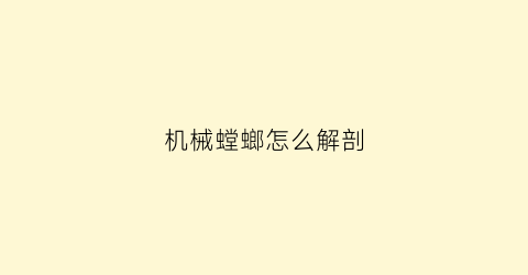 机械螳螂怎么解剖