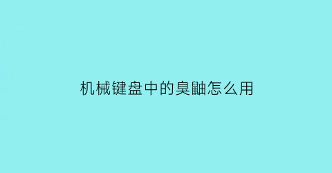 “机械键盘中的臭鼬怎么用(机械键盘臭轴)