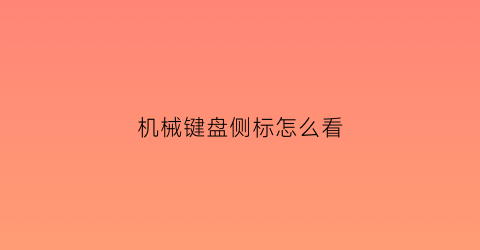 “机械键盘侧标怎么看(机械键盘侧刻)