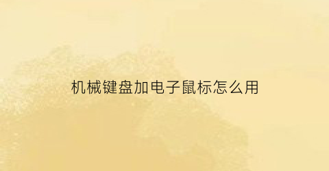 “机械键盘加电子鼠标怎么用(电脑加机械键盘)