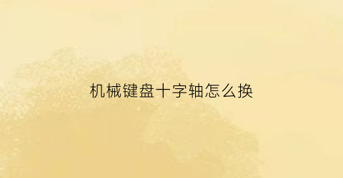 “机械键盘十字轴怎么换(机械键盘十字轴怎么换轴头)